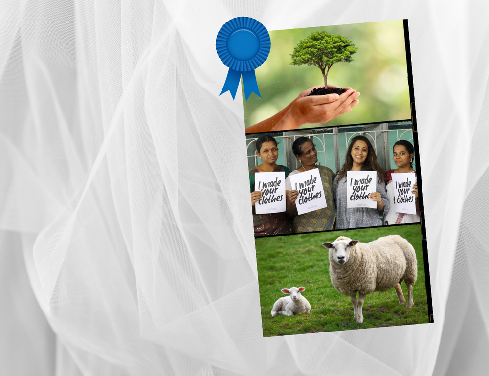 Images representing care for the environment, people and animals when creating and selling apparel and excellence in sustainable and responsible business practices.