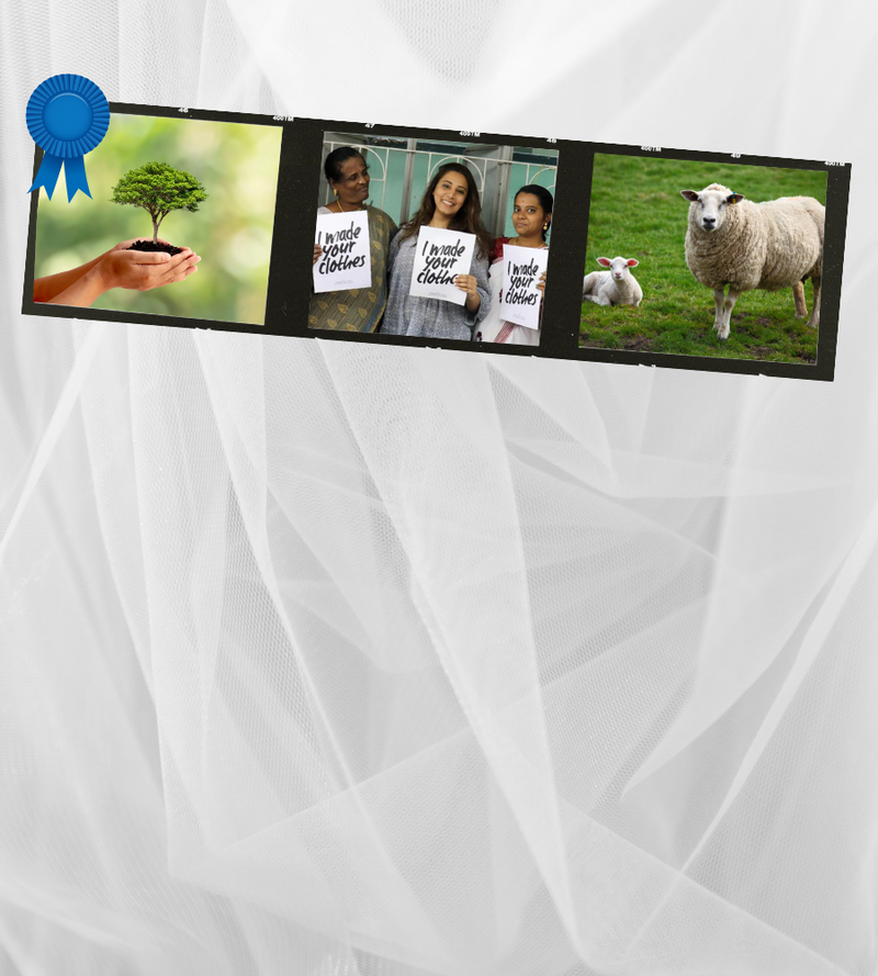 Images representing care for the environment, people and animals when creating and selling apparel and excellence in sustainable and responsible business practices.